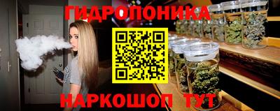 spice Чебоксары