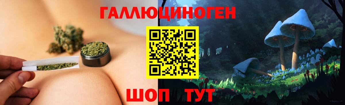 Галлюциногенные грибы Psilocybine cubensis  Вход с VPN  Псилоцибиновые грибы MAGIC MUSHROOMS  Ачинск 